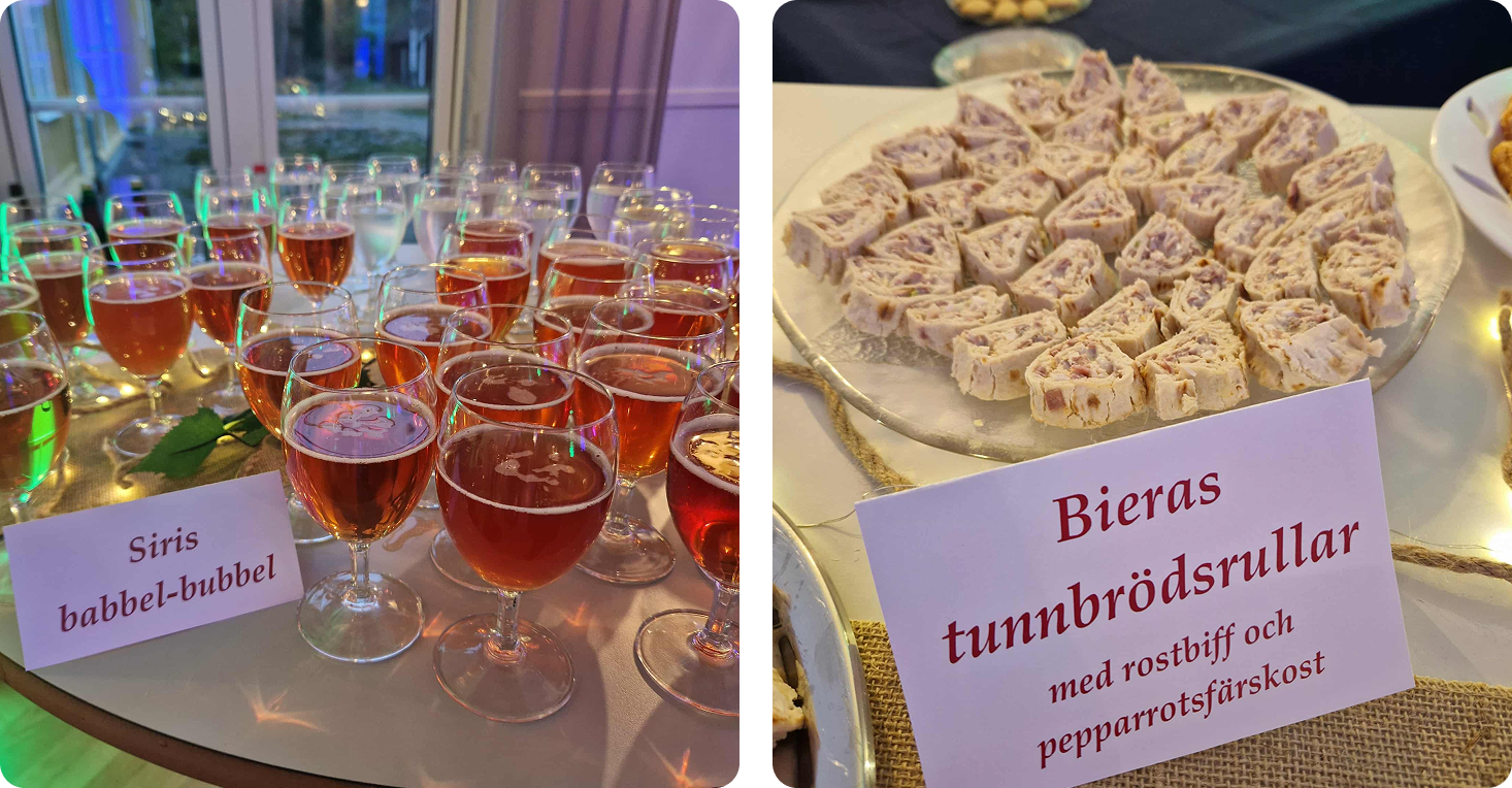 Tina Harnesk firade Biblio på Lessebo Bibliotek